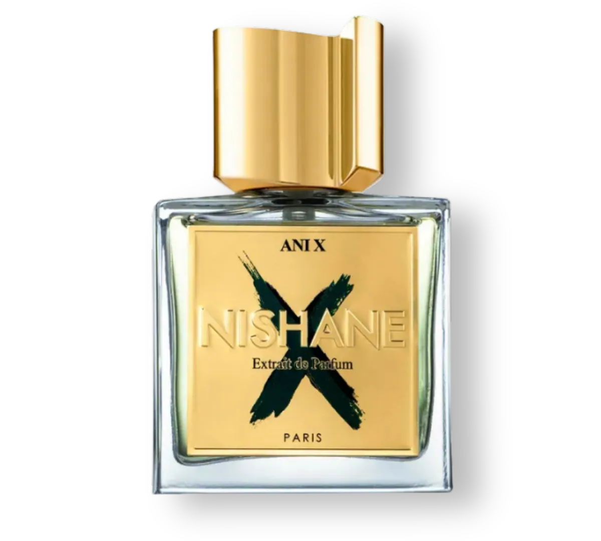 Perfume Nishane Ani X EDP