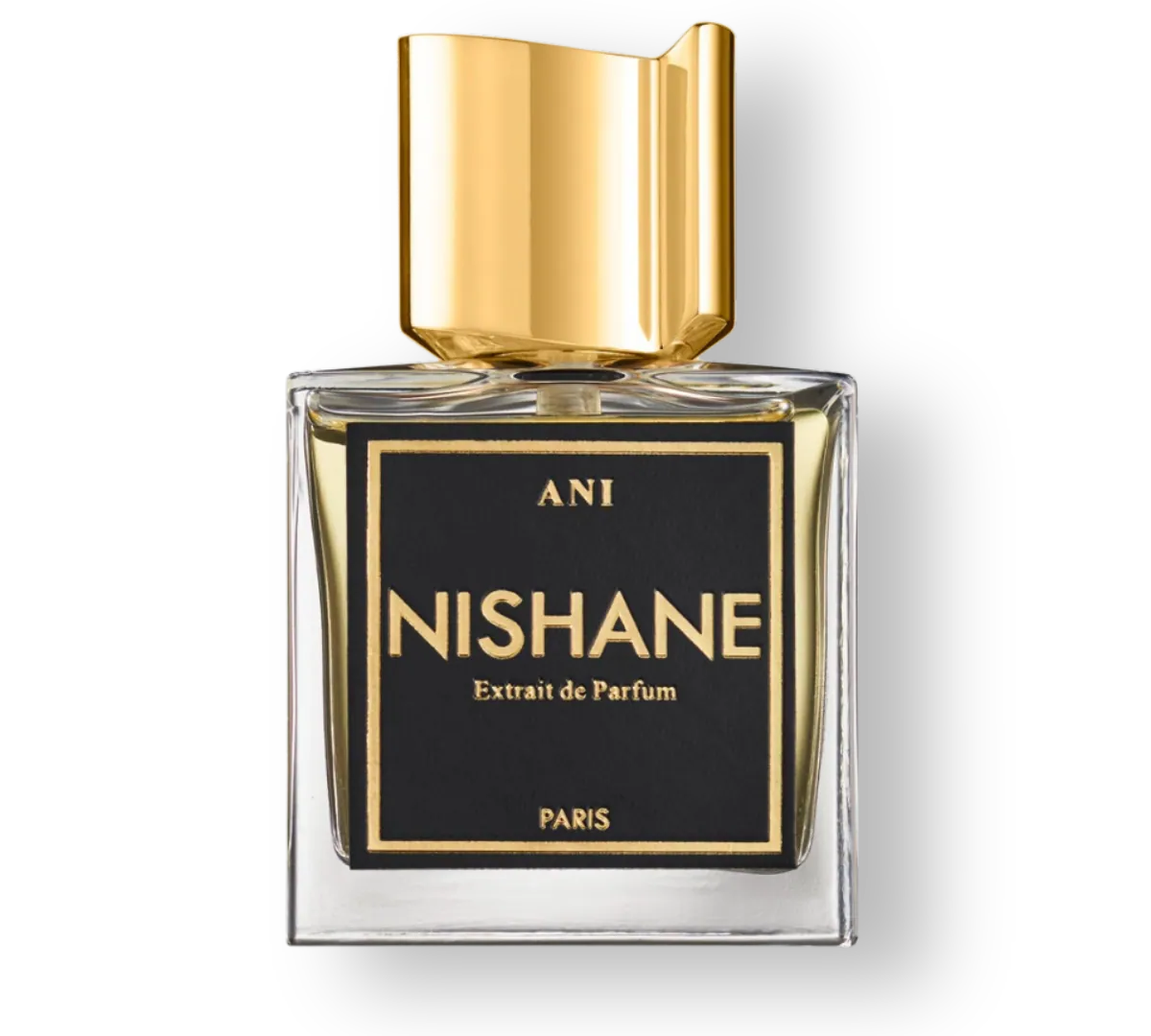 Perfume Nishane Ani EDP