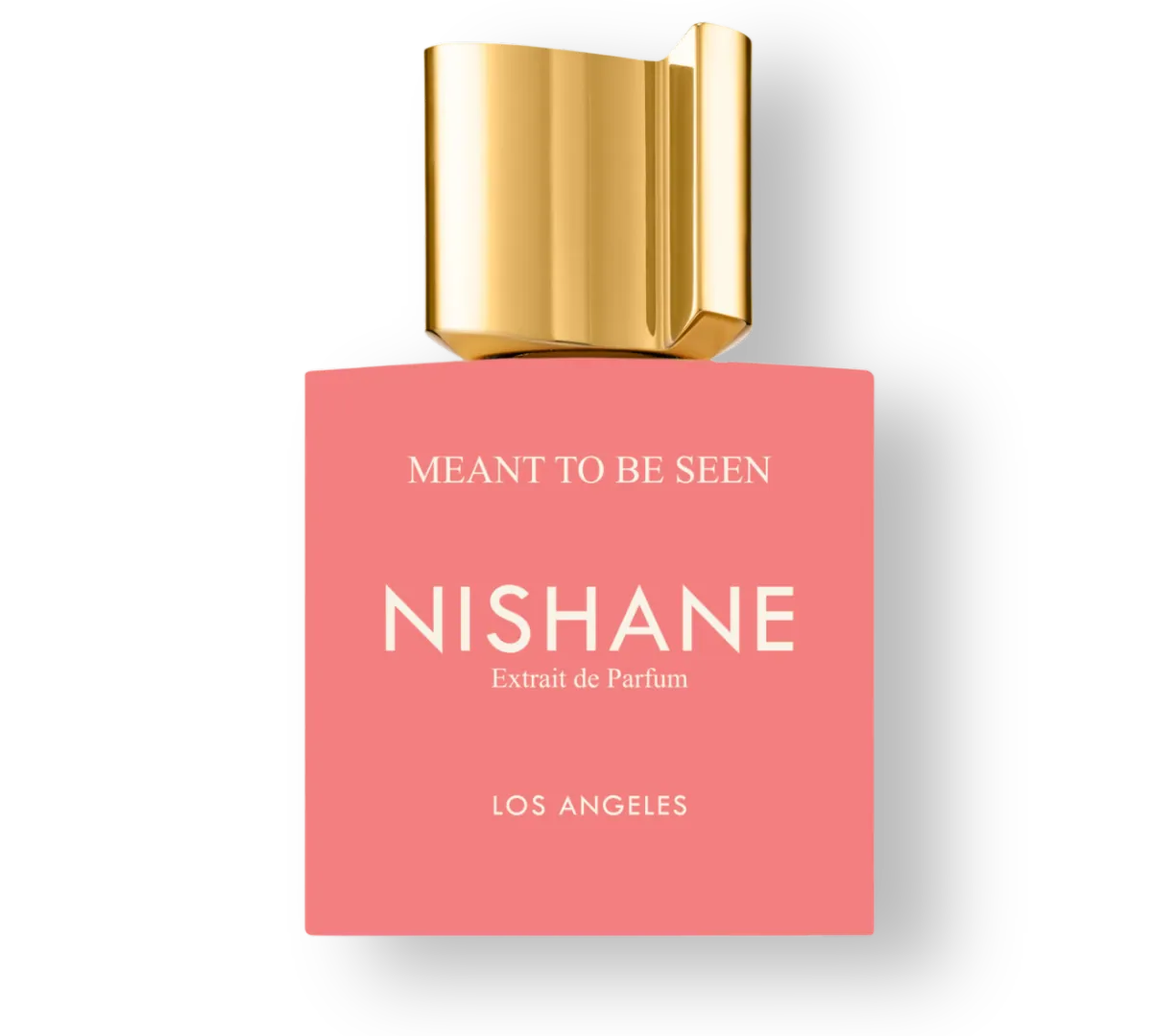 Perfume Nishane Meant to be Seen EDP